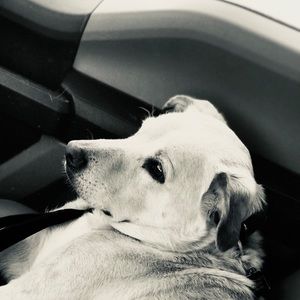 Meet your Posher, Spencer